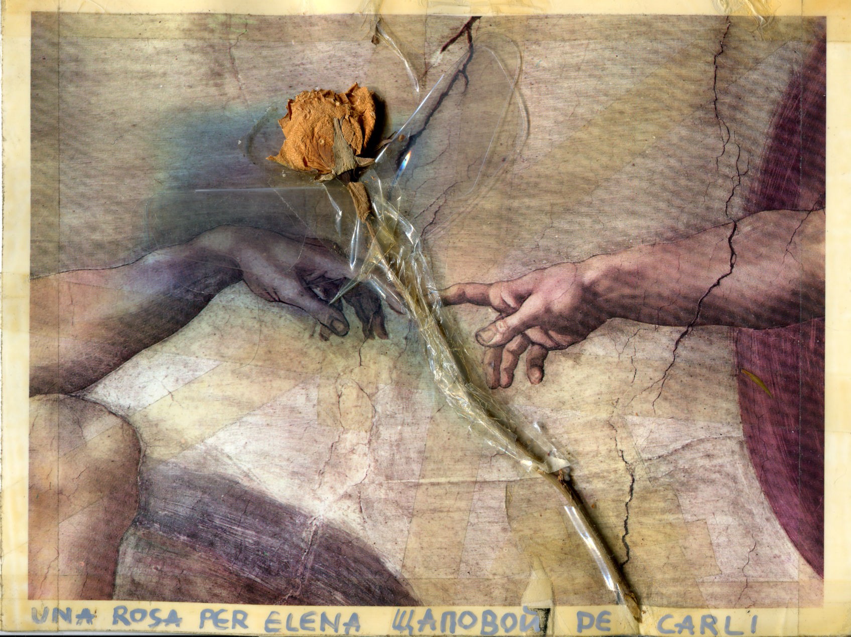Елена Щапова