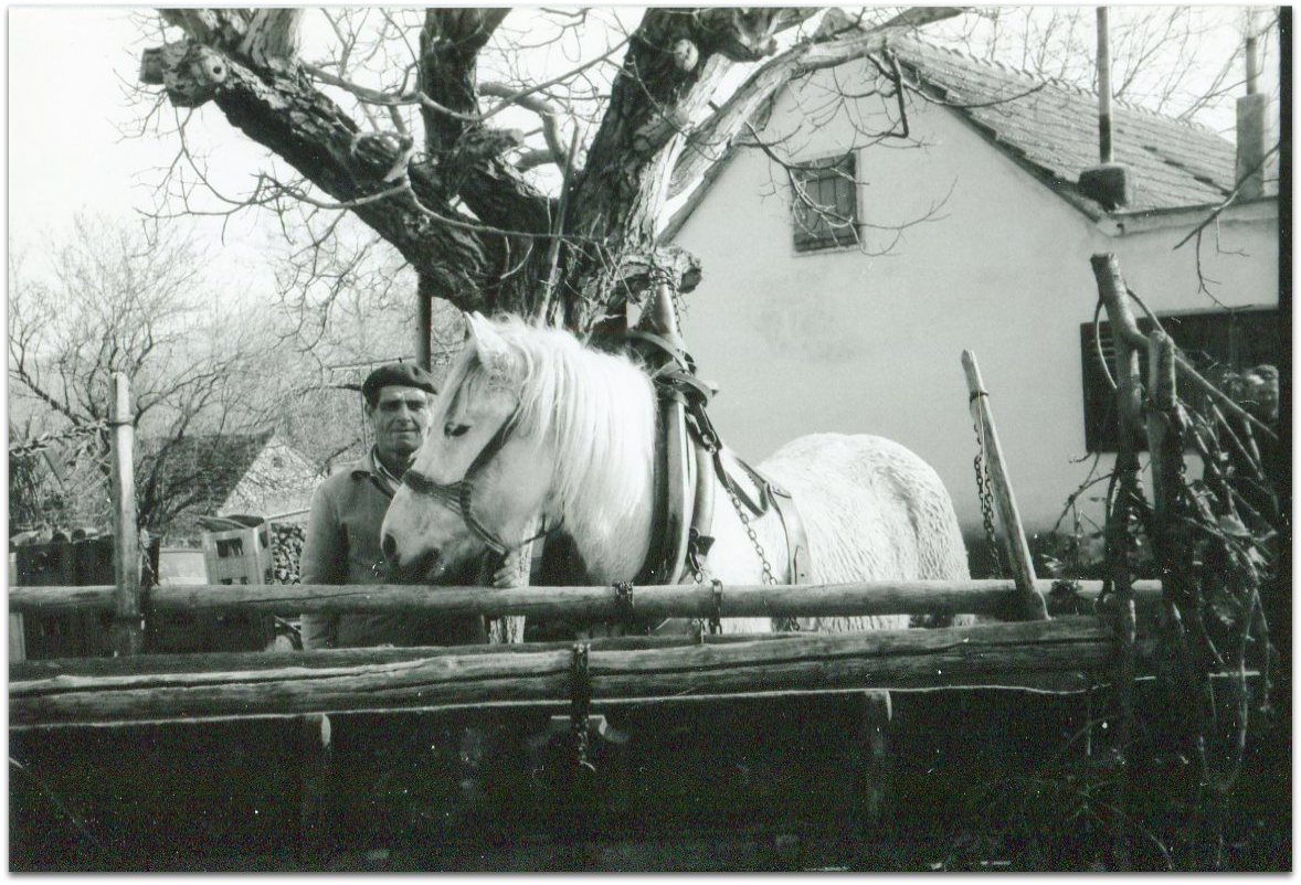 Эдуард Лимонов