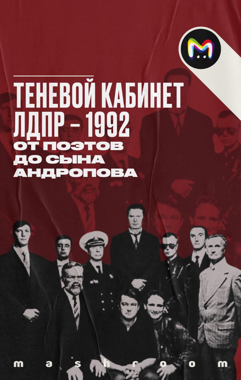 «Теневой кабинет ЛДПР»