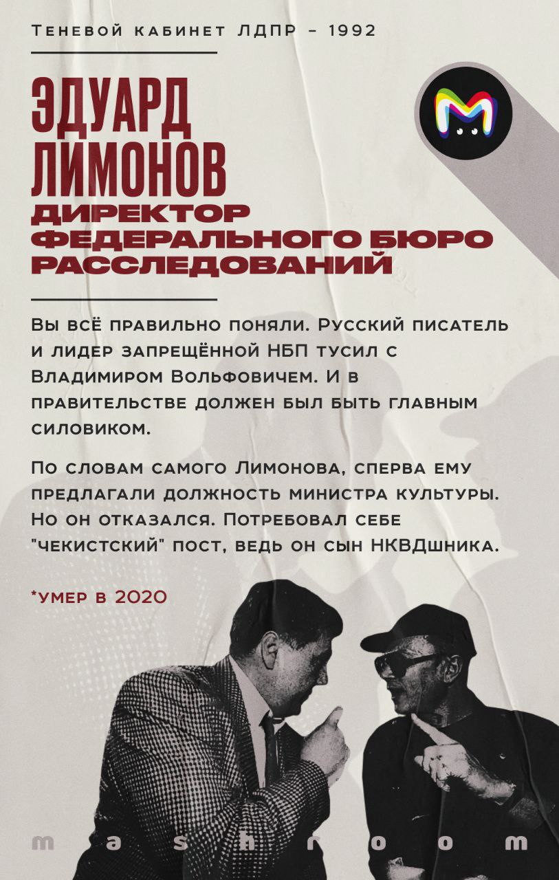 «Теневой кабинет ЛДПР»