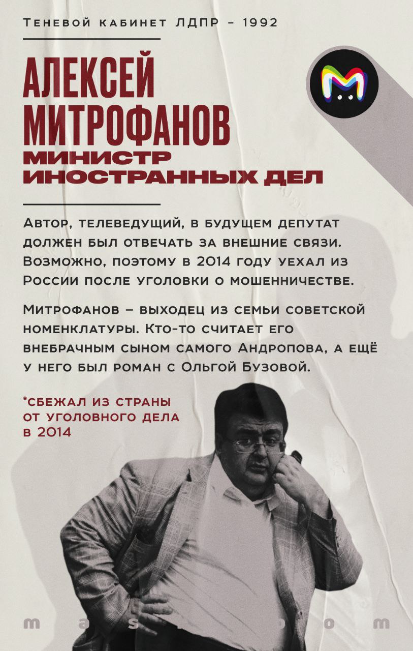 «Теневой кабинет ЛДПР»