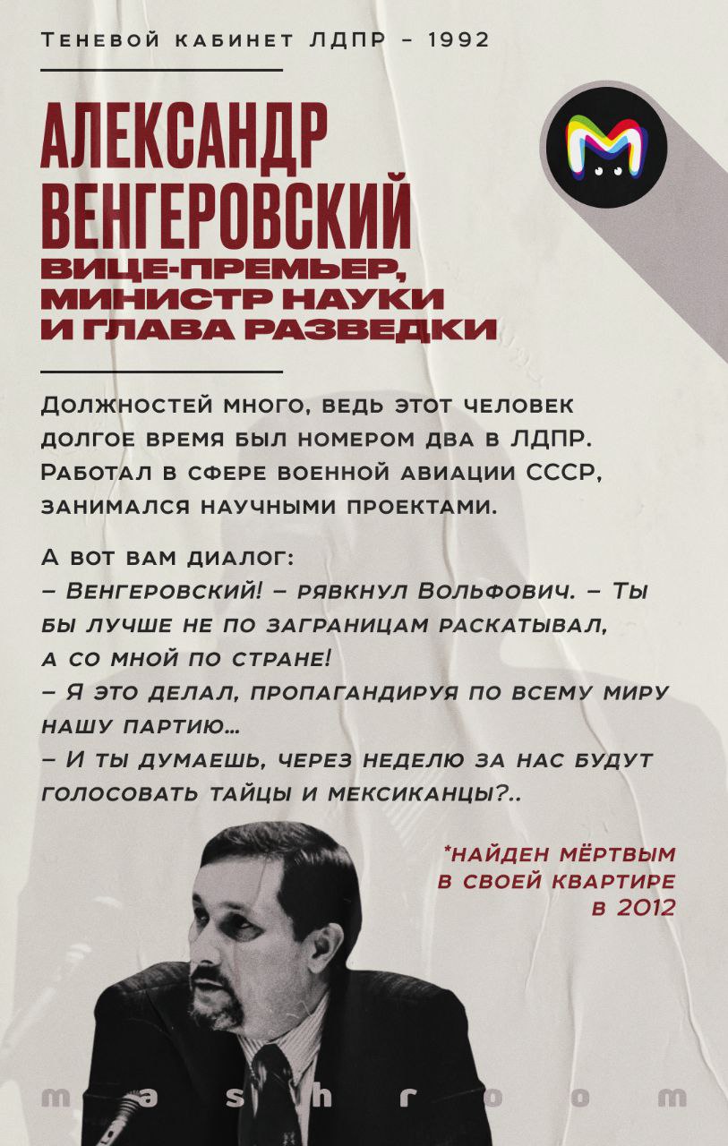 «Теневой кабинет ЛДПР»